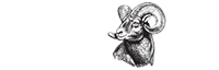 The Kinetic Group